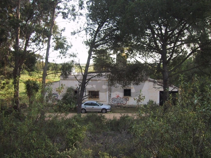 Quinta T0 para Venda em Montenegro Foto 2