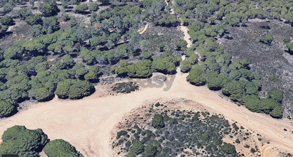 Quinta T0 para Venda em Montenegro Foto 20