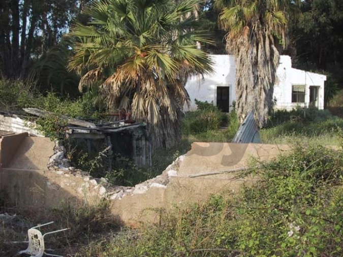 Quinta T0 para Venda em Montenegro Foto 7