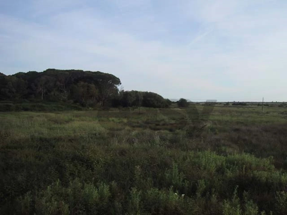 Quinta T0 para Venda em Montenegro Foto 5