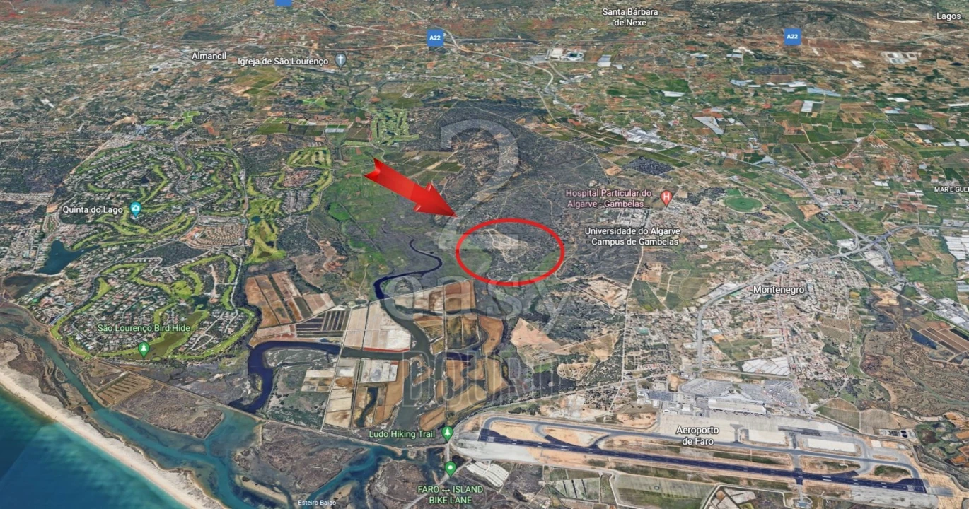 Quinta T0 para Venda em Montenegro Foto 1