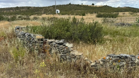 Terreno para Venda em São João dos Caldeireiros