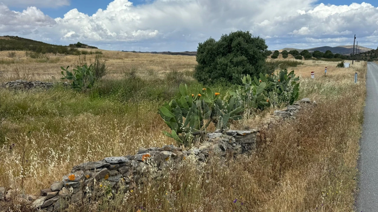 Terreno para Venda em São João dos Caldeireiros Foto 3