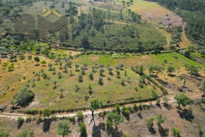 Terreno Agricola ou Rústico para Venda em Benquerenças