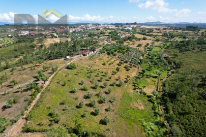 Terreno Agricola ou Rústico para Venda em Benquerenças