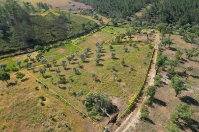 Terreno Agricola ou Rústico para Venda em Benquerenças