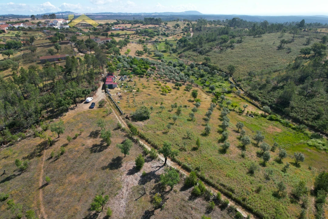 Terreno Agricola ou Rústico para Venda em Benquerenças Foto 4