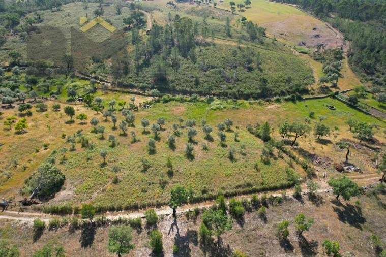 Terreno Agricola ou Rústico para Venda em Benquerenças Foto 3