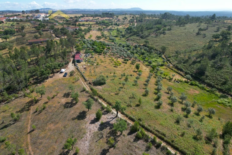 Terreno Agricola ou Rústico para Venda em Benquerenças Foto 4