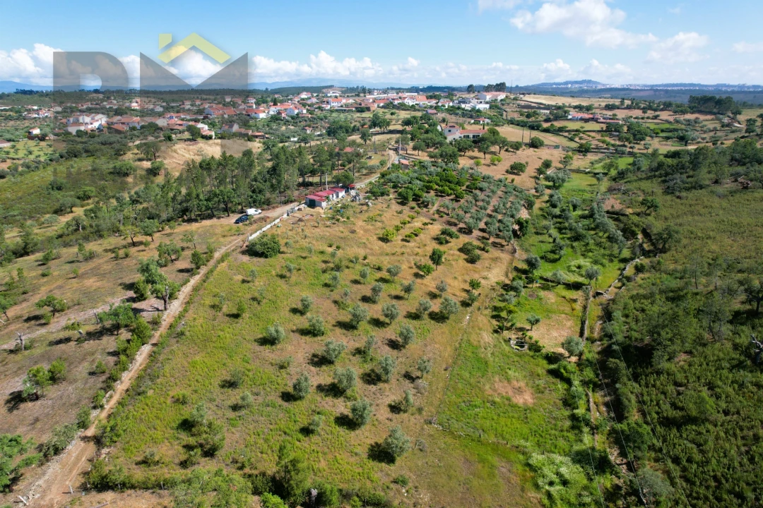 Terreno Agricola ou Rústico para Venda em Benquerenças Foto 2