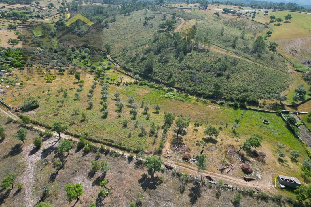 Terreno Agricola ou Rústico para Venda em Benquerenças Foto 5