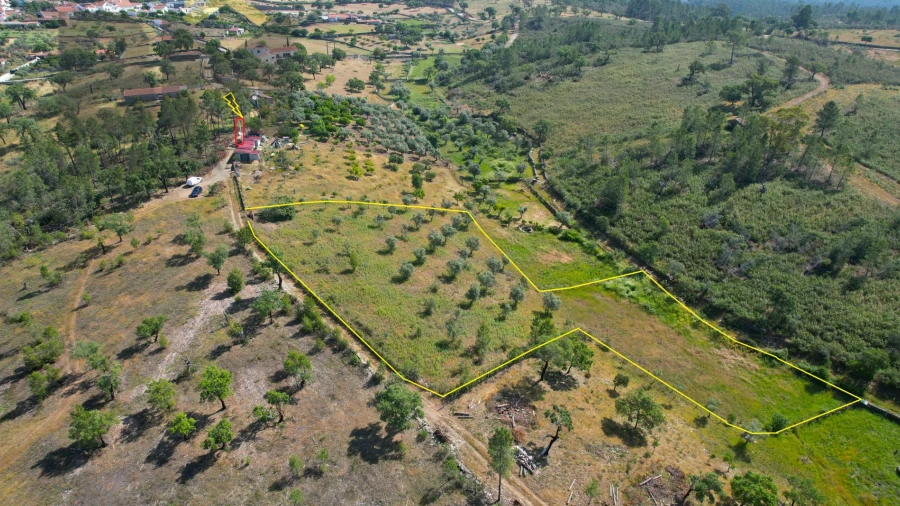 Terreno Agricola ou Rústico para Venda em Benquerenças