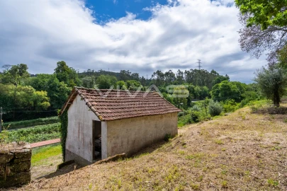 Moradia T0 para Venda em Ribeira do Neiva