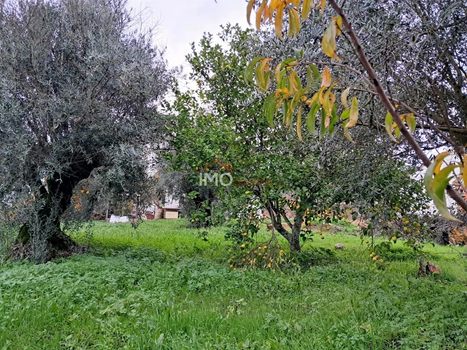 Terreno para Venda em Fortios Foto 1