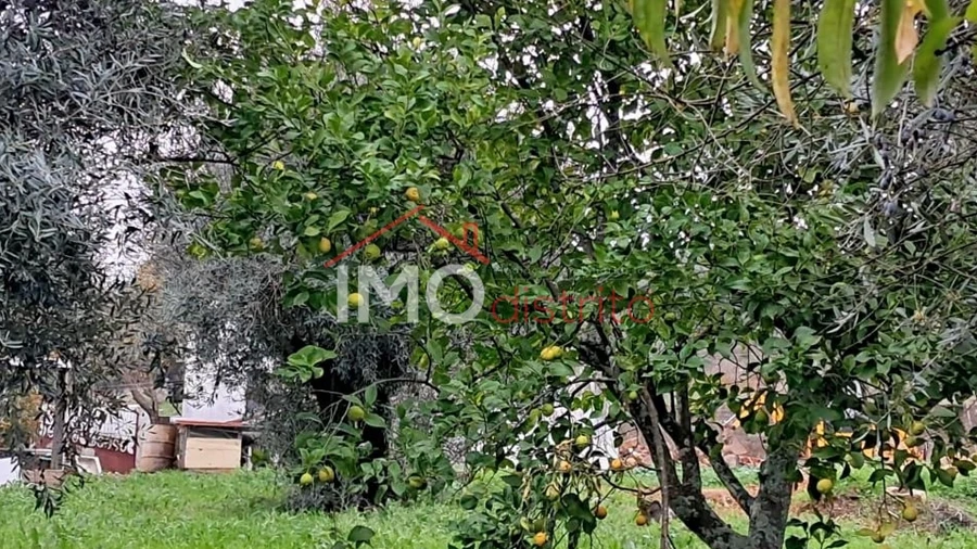 Terreno para Venda em Fortios