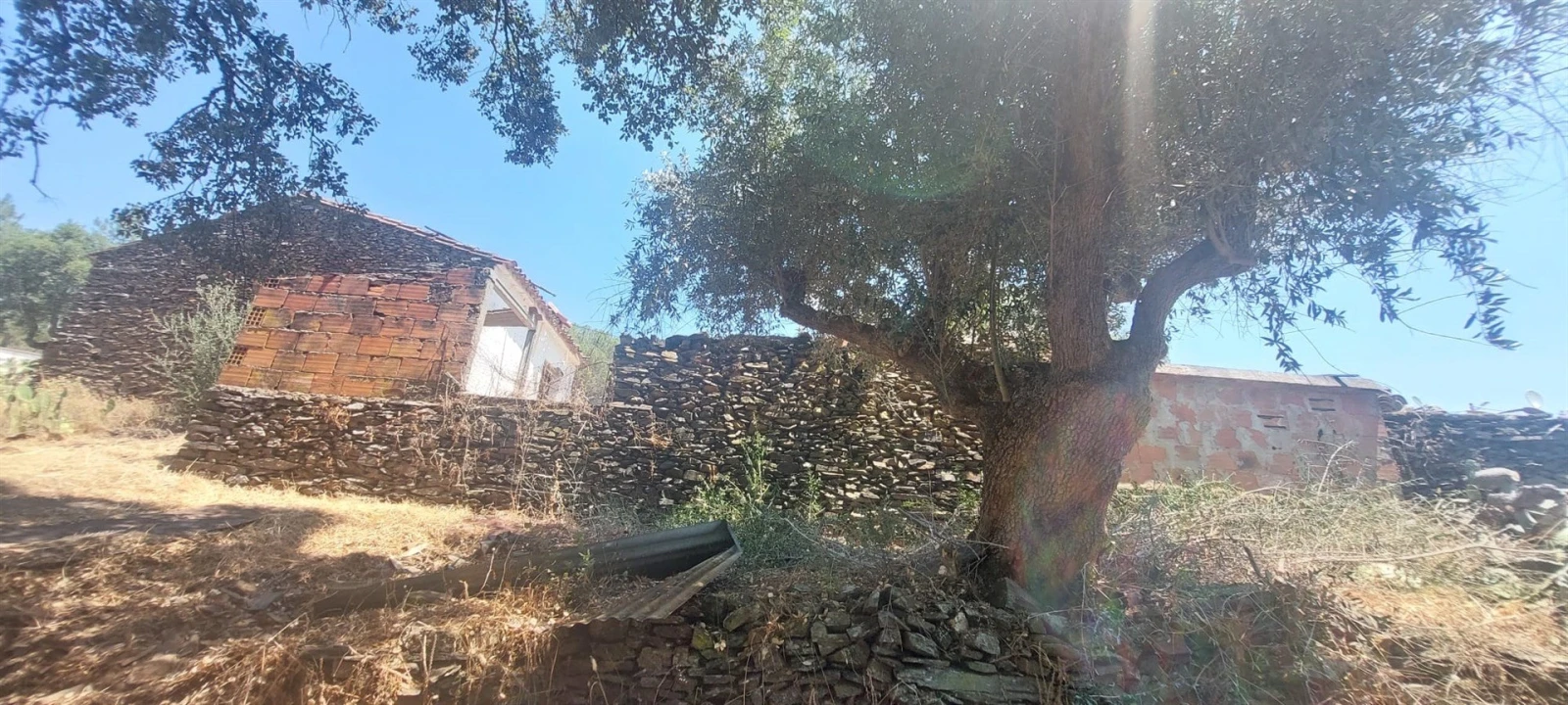 Quinta T0 para Venda em Reguengo e São Julião Foto 16