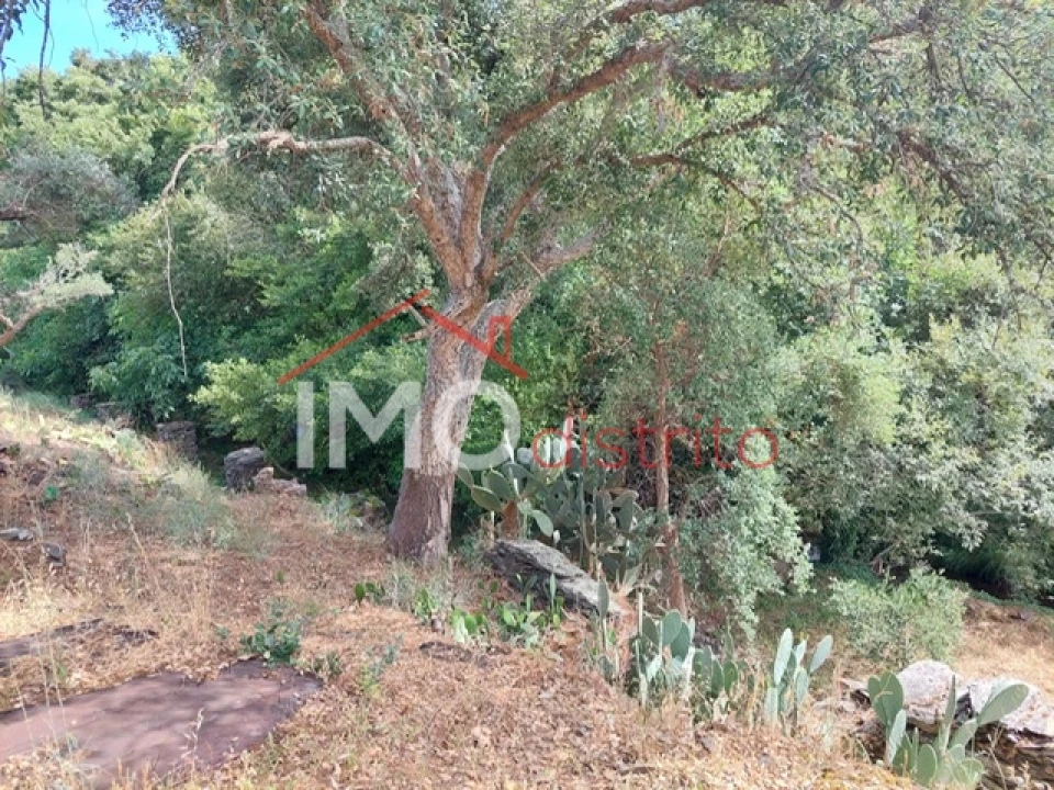 Quinta T0 para Venda em Reguengo e São Julião Foto 37