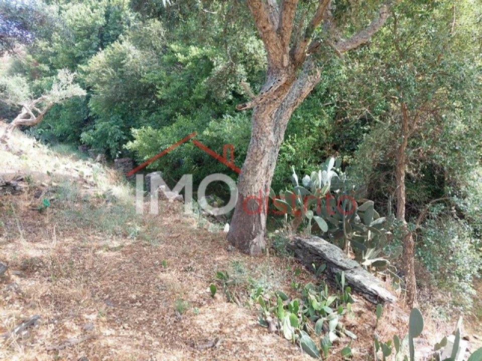 Quinta T0 para Venda em Reguengo e São Julião Foto 36