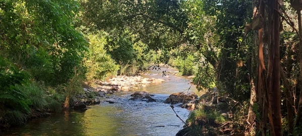 Quinta T0 para Venda em Reguengo e São Julião