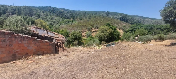 Quinta T0 para Venda em Reguengo e São Julião