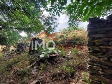 Quinta T0 para Venda em Reguengo e São Julião