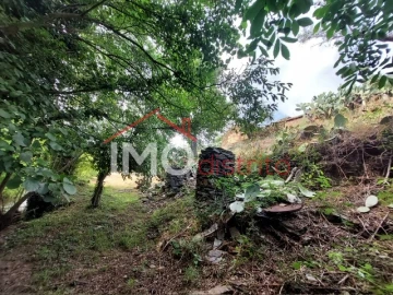 Quinta T0 para Venda em Reguengo e São Julião