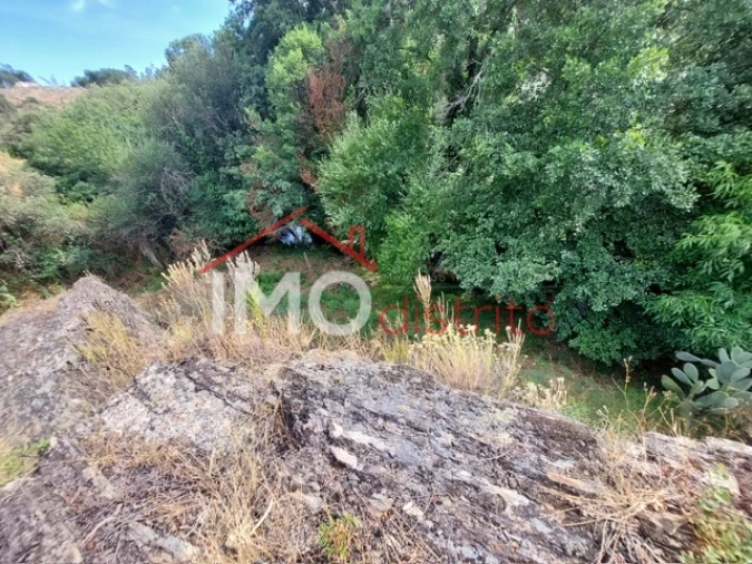 Quinta T0 para Venda em Reguengo e São Julião Foto 16