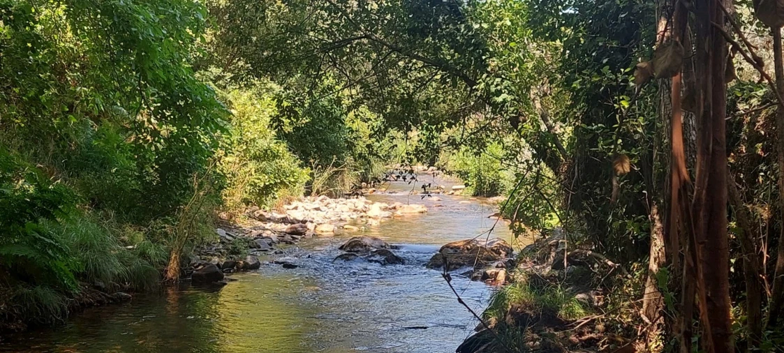 Quinta T0 para Venda em Reguengo e São Julião Foto 28