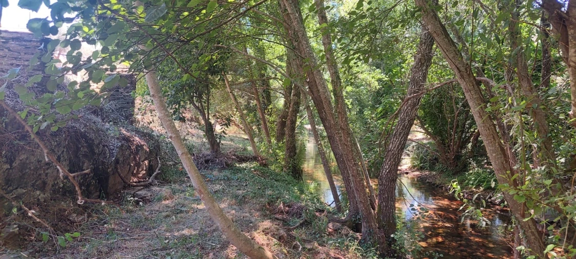 Quinta T0 para Venda em Reguengo e São Julião Foto 20