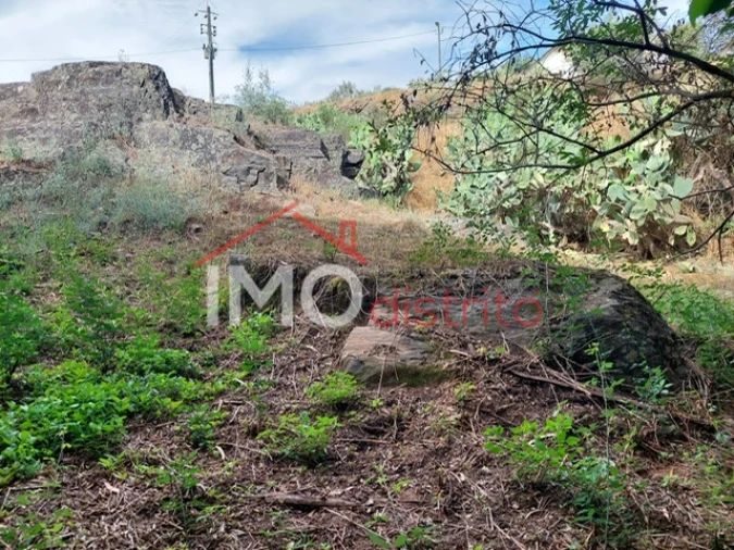 Quinta T0 para Venda em Reguengo e São Julião Foto 29