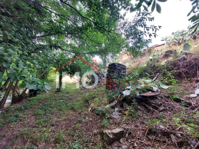 Quinta T0 para Venda em Reguengo e São Julião Foto 2