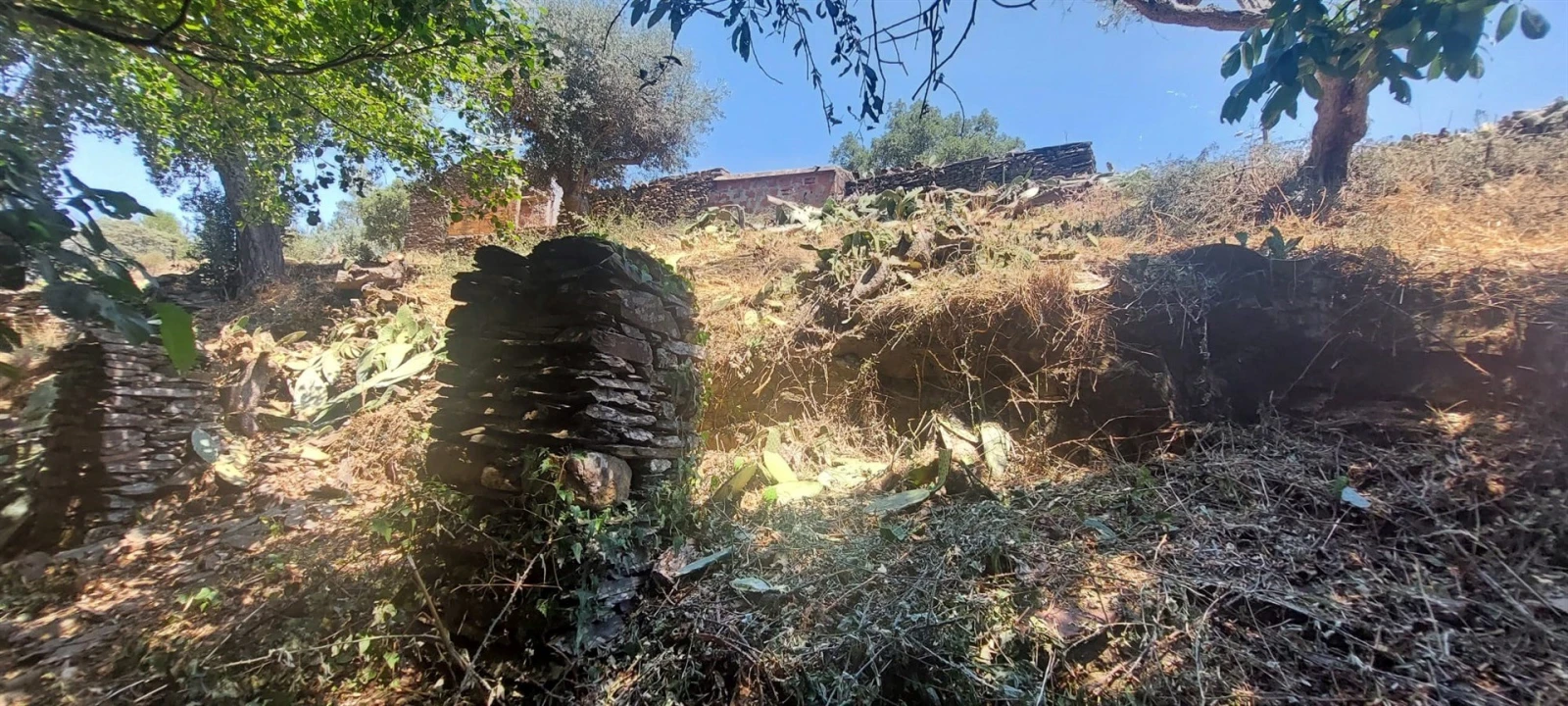 Quinta T0 para Venda em Reguengo e São Julião Foto 30