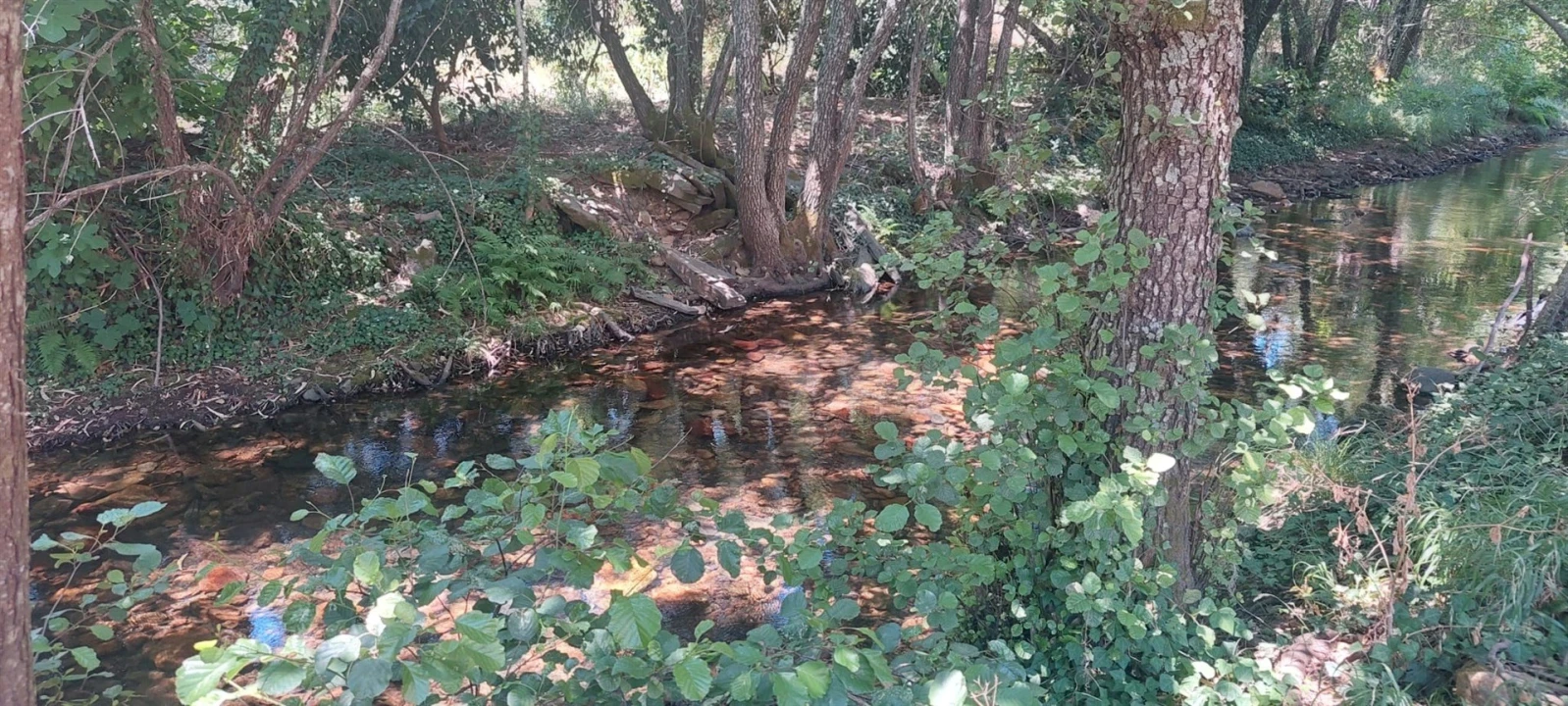 Quinta T0 para Venda em Reguengo e São Julião Foto 24