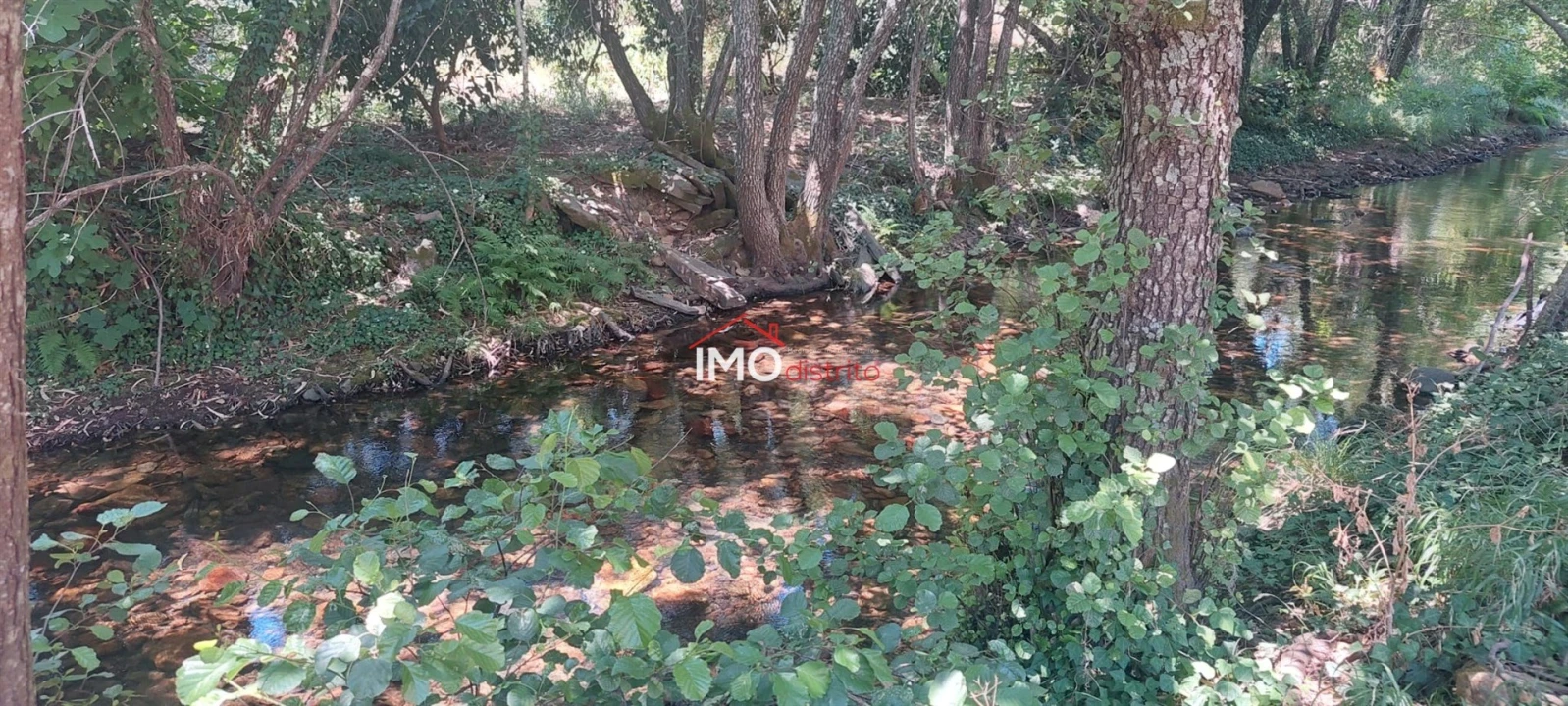Quinta T0 para Venda em Reguengo e São Julião Foto 8