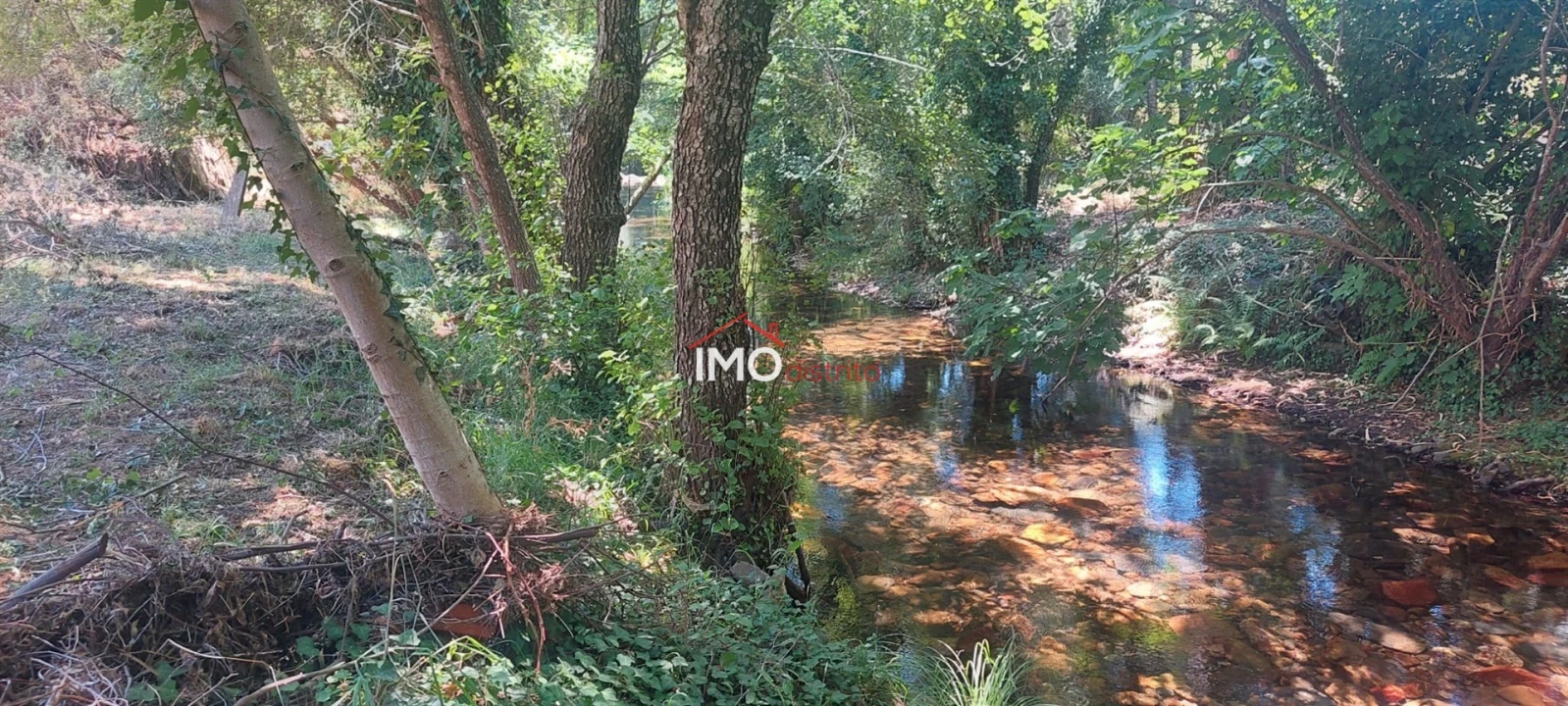Quinta T0 para Venda em Reguengo e São Julião Foto 7
