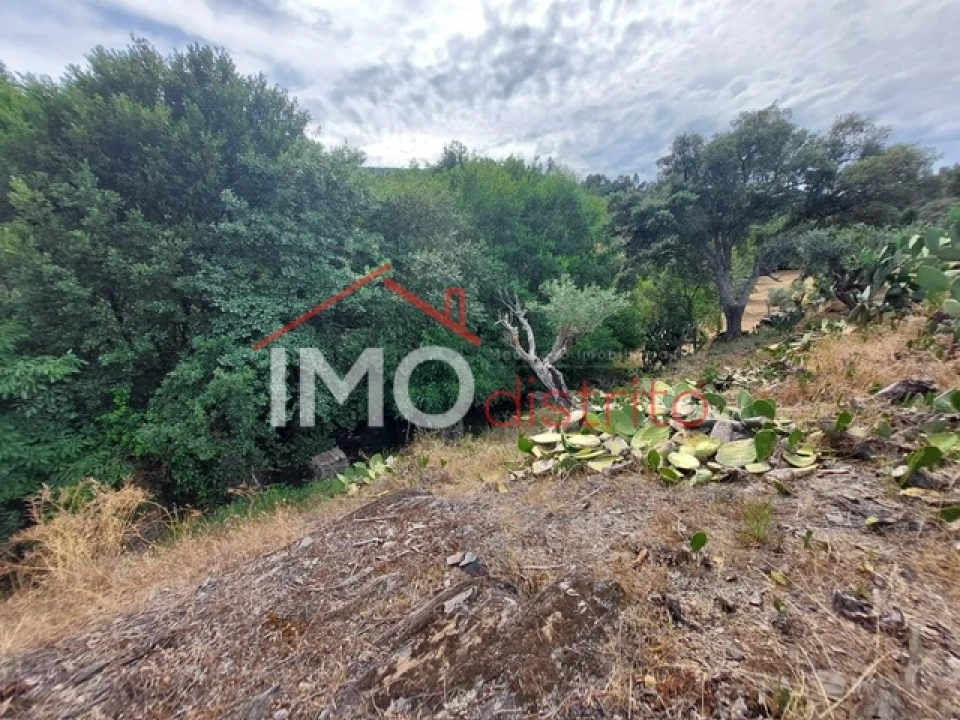Quinta T0 para Venda em Reguengo e São Julião Foto 9