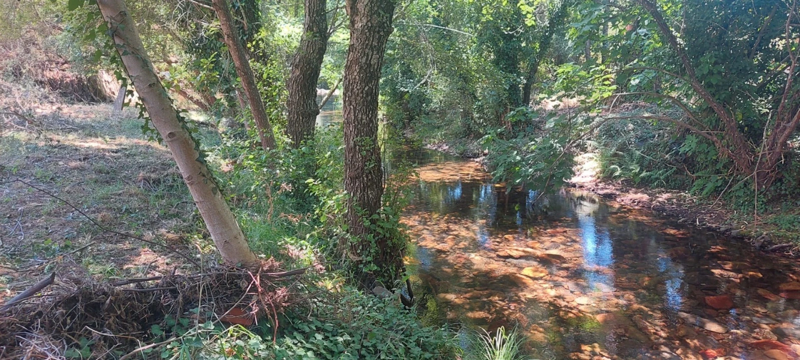 Quinta T0 para Venda em Reguengo e São Julião Foto 23