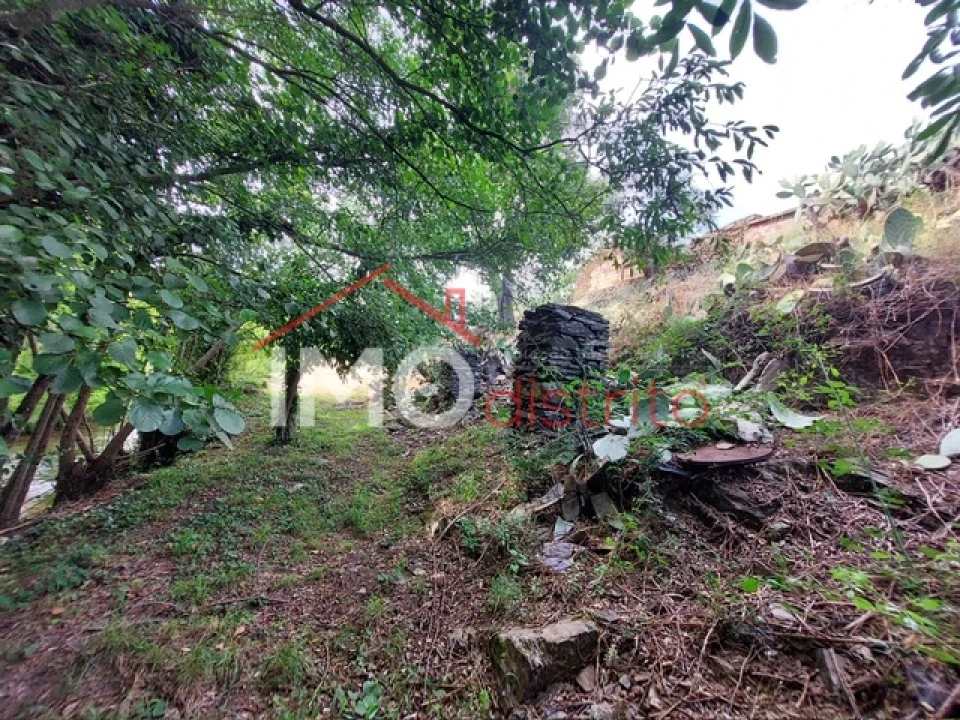 Quinta T0 para Venda em Reguengo e São Julião Foto 2