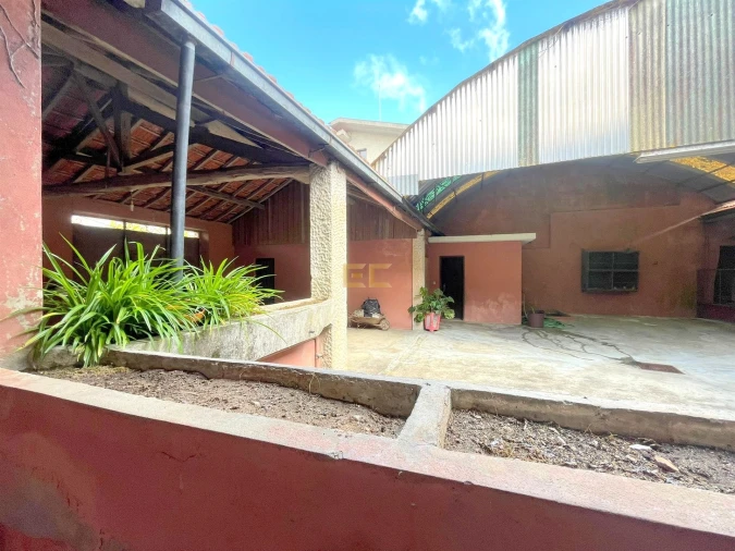 Moradia T4 para Venda em Cadima Foto 31