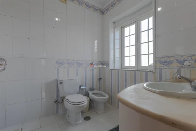 Quinta T7 para Venda em Negreiros e Chavão