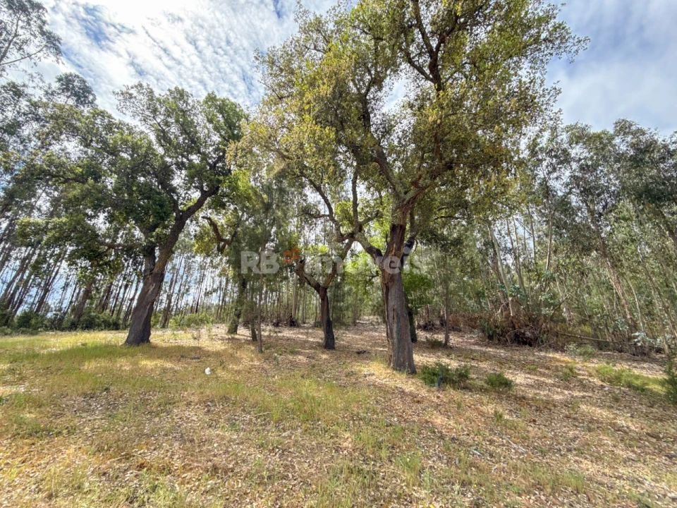 Moradia T3 para Venda em São Facundo e Vale das Mós Foto 34