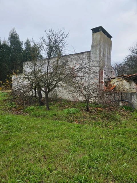 Moradia T0 para Venda em Fazendas de Almeirim
