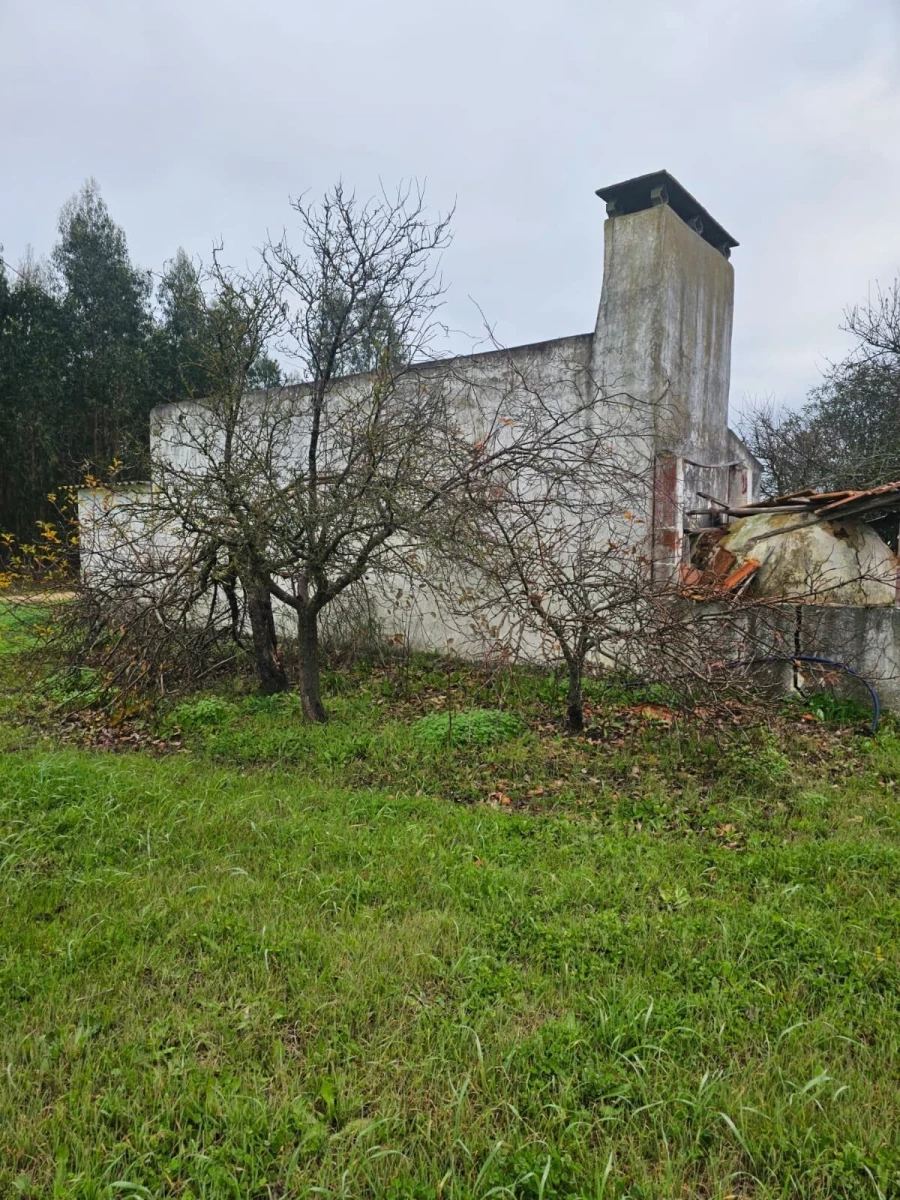 Moradia T0 para Venda em Fazendas de Almeirim Foto 2