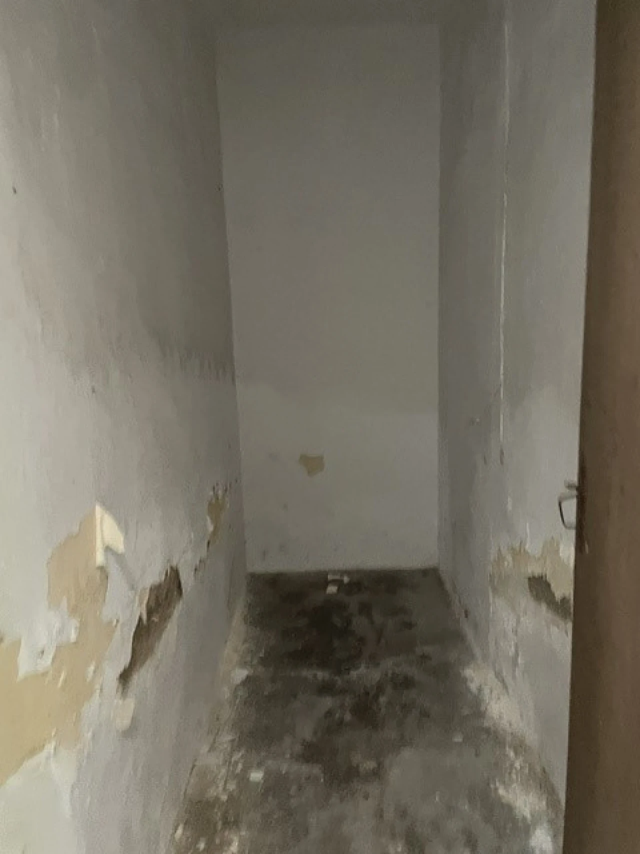Moradia T3 para Venda em Benavila e Valongo Foto 6