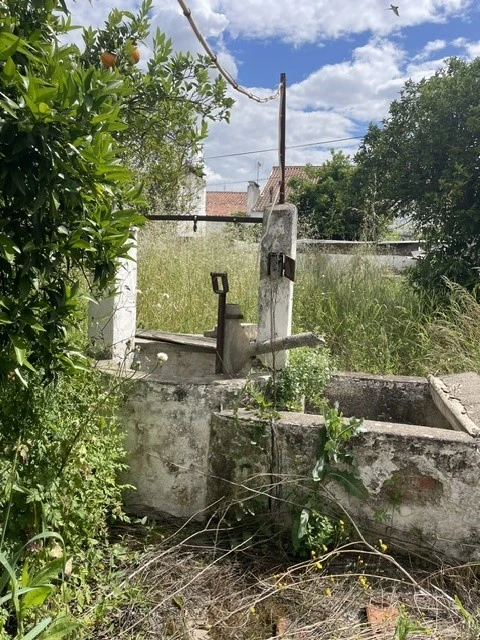 Moradia T3 para Venda em Benavila e Valongo