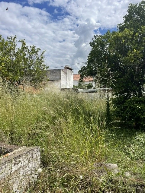 Moradia T3 para Venda em Benavila e Valongo