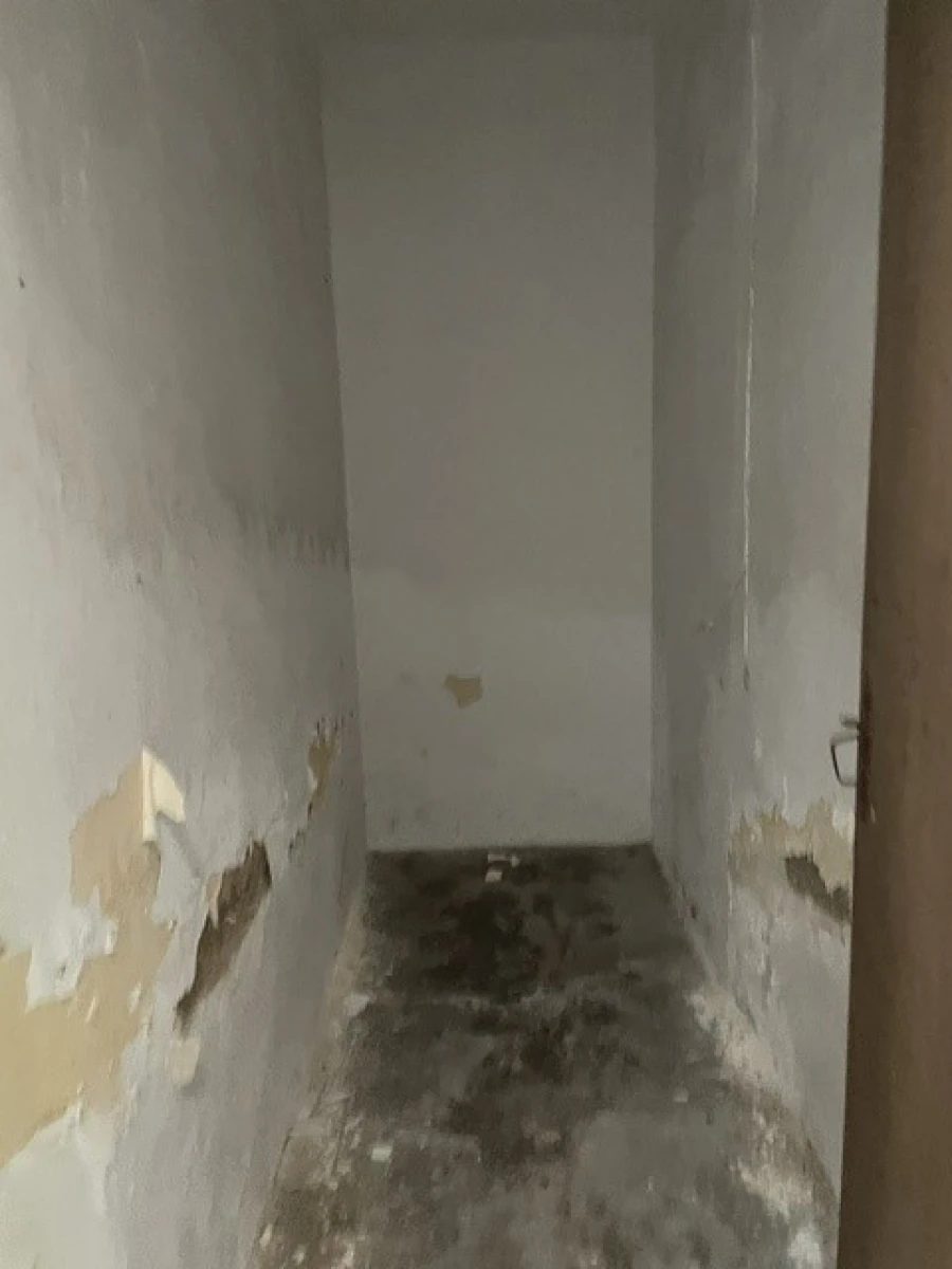 Moradia T3 para Venda em Benavila e Valongo Foto 6