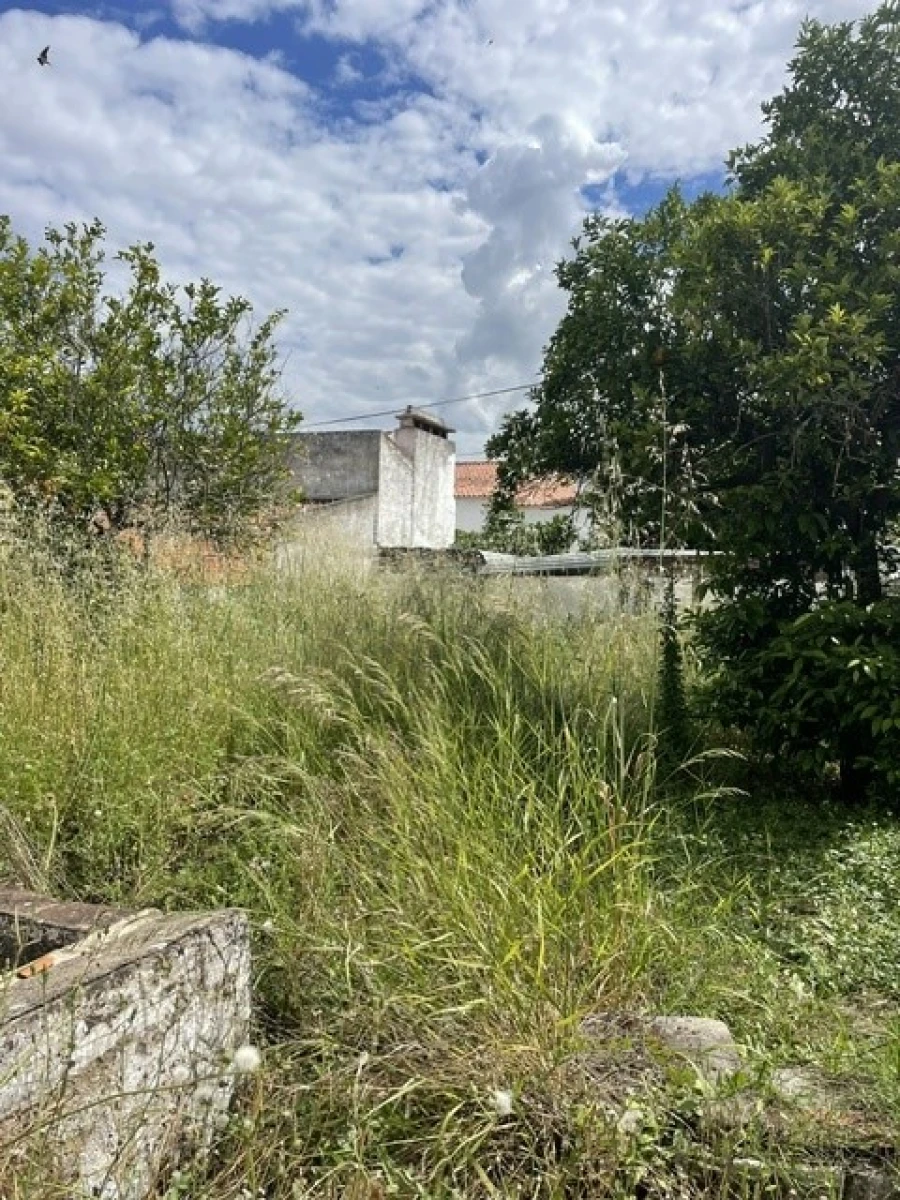 Moradia T3 para Venda em Benavila e Valongo Foto 13