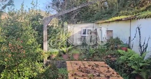 Quinta para Venda em Melres e Medas