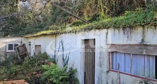 Quinta para Venda em Melres e Medas